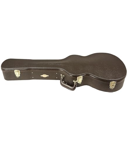 Amazon.com: Taylor Deluxe Hardshell Grand Auditorium Case